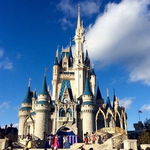 Meet your Posher, Allie